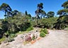 View from deck at back of house